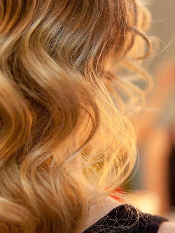 Haircuts, Styling & Pricing