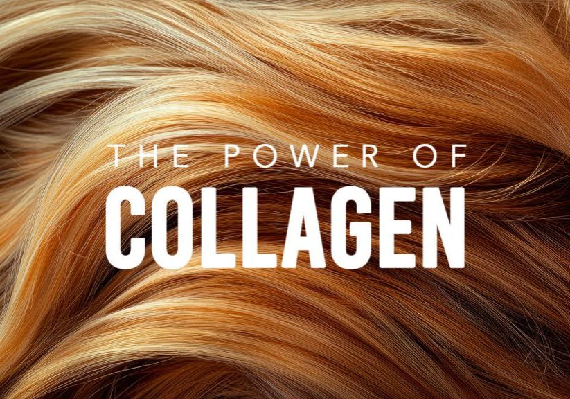 Why Collagen is One of the Best Supplements for Your Hair